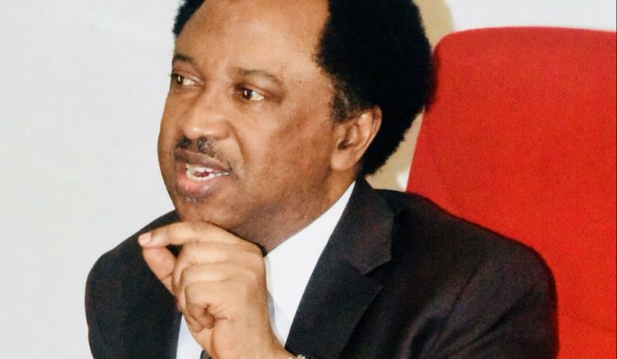 shehu sani cryptocurrency ban