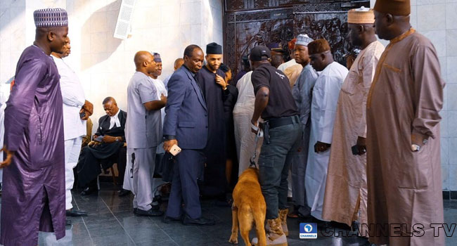 dogs in nigeria supreme court