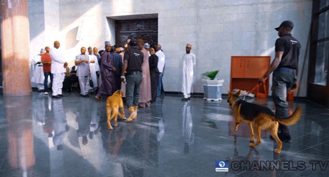 dogs in nigeria supreme court