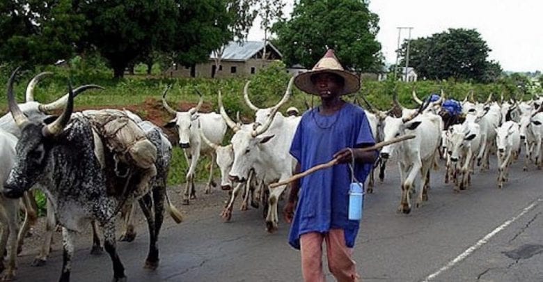 Fulani herdsmen