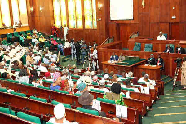 The House of Representatives has insisted that Nigerians must enjoy the proposed two-month free electricity in order to cushion the effect of the COVID-19 pandemic.