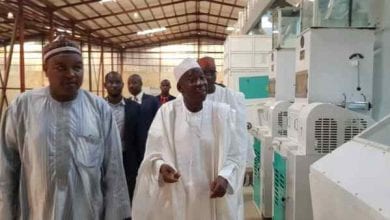 COVID-19: Why Kano Govt shut down Rice mill amidst food insecurity