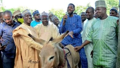 Ganduje's aide shares Donkeys to empower Kano Youths