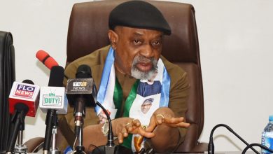Ngige reveals why unemployment rate is high