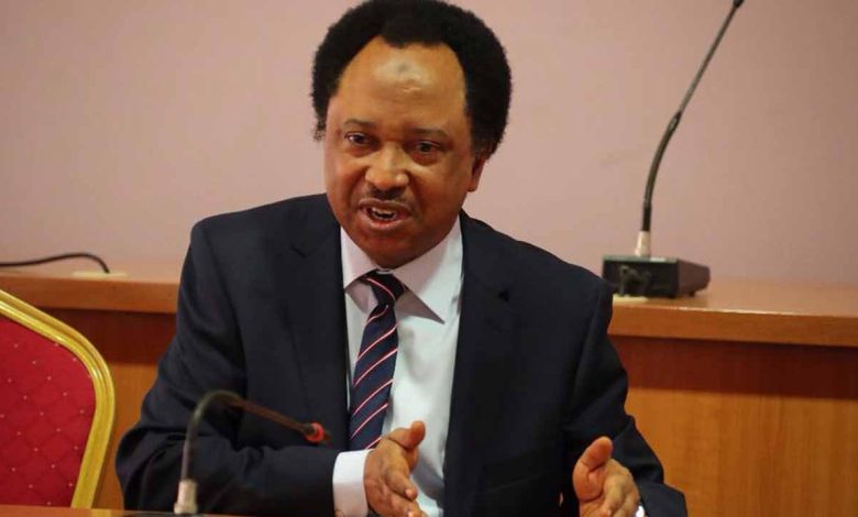 El-Rufai in Trouble with Tinubu as Shehu Sani Leaks his Secret