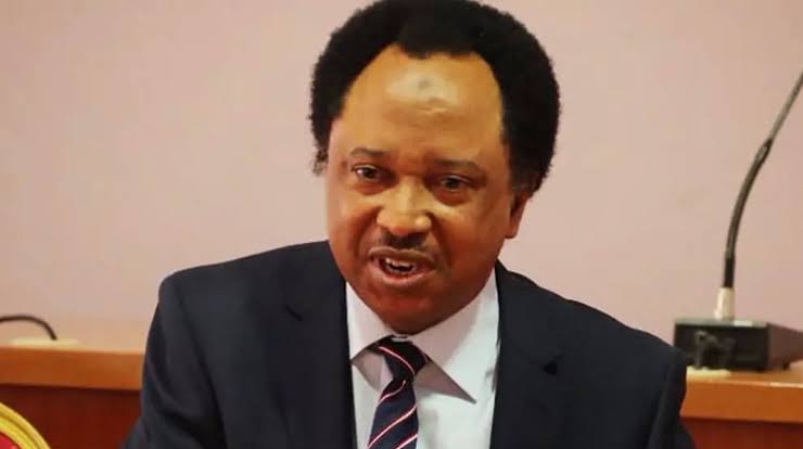 JUST IN: Senator Shehu Sani Drops Hint as Tension Rises Over Security Presence at Kano Palace