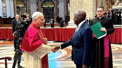 pope leo and tinubu