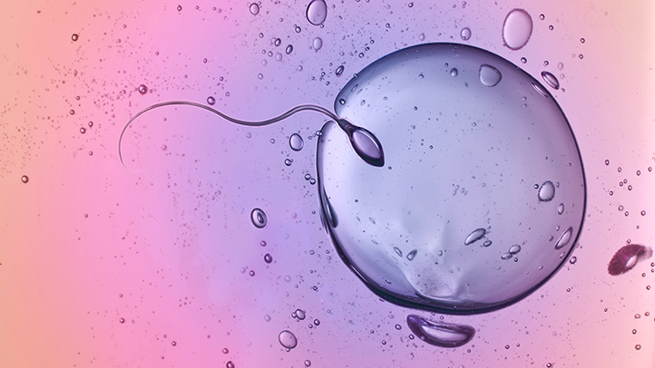 Inside Nigeria’s Quiet Egg and Sperm Market where Students Trade Fertility for Survival