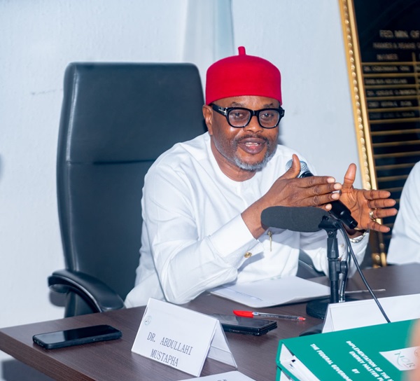 Certificate forgery allegation against me politically motivated – Tinubu’s minister declares