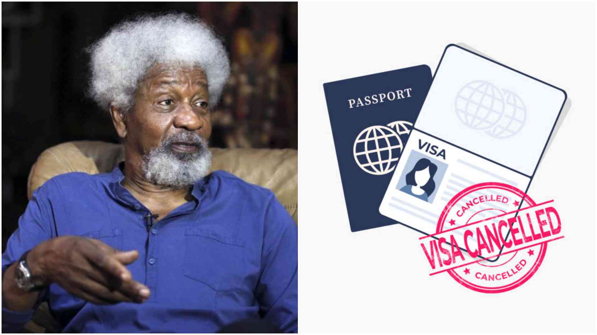 U.S. Embassy Finally Clarifies Why They Revoked Wole Soyinka’s Visa