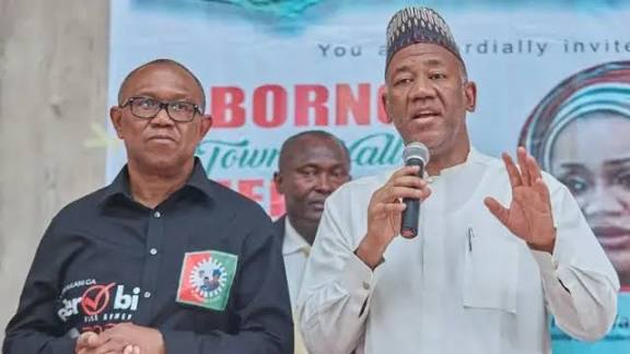 Images 2026 01 07T142614.238