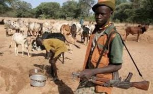 Armed Fulani Herdsmen