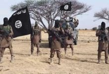 ISWAP Terrorists