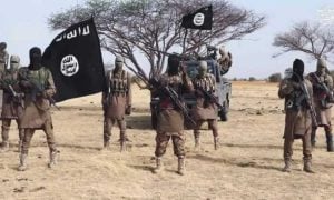 ISWAP Terrorists