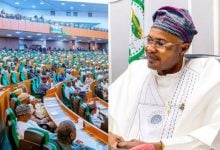 File photo of the House of Representatives, Presidential Foreign Investment Promotion Council (PFIPC)