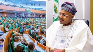 File photo of the House of Representatives, Presidential Foreign Investment Promotion Council (PFIPC), Self-aclaimed PFIPC DG Adeyemi Adeniyi