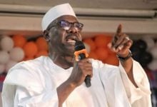 Borno South Senator, Ali Ndume