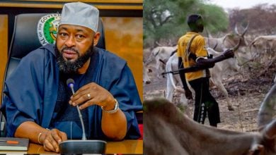 Governor Bago, Fulani Herdsmen