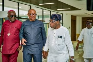 Nigeria Democratic Congress presidential candidate, Peter Obi, met with former President Olusegun Obasanjo. Credit: X/Esther Umoh
