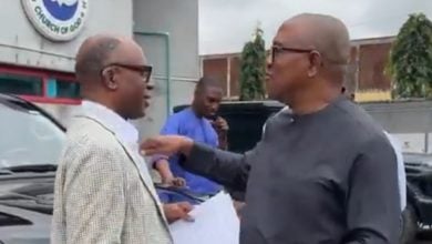 The presidential candidate of the Nigerian Democratic Congress (NDC), Peter Obi, and the vice-presidential candidate of the African Democratic Congress (ADC), Rotimi Amaechi, met in Lagos