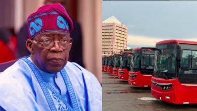 Tinubu Govt Launches 100 Electric Buses for Federal Civil Servants