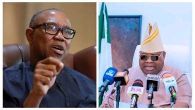 Peter Obi; Ademola Adeleke