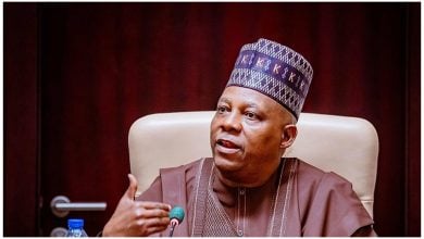 Vice President Kashim Shettima