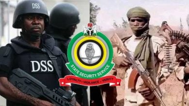 DSS // Terrorists