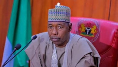 Borno State Governor Babagana Zulum