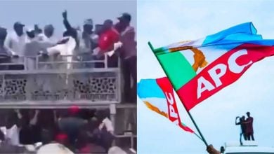 Crowd at the Zamfara Rally; Flag of the All Progressive Congress (APC)