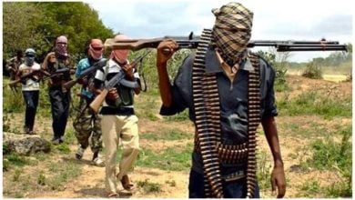 File: Unknown Gunmen