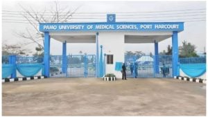 File: PAMO University