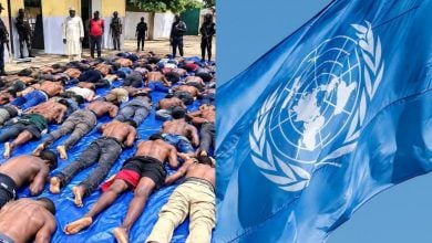 File: Corpses of Victims; UN logo