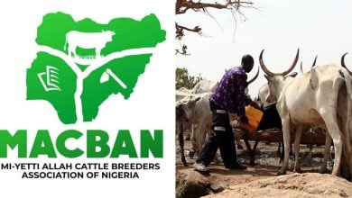 MACBAN logo; Herder