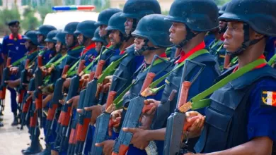 50f7cacf91b9bc7d66ba0eb41793e856